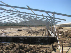 Poultry Shed Developments