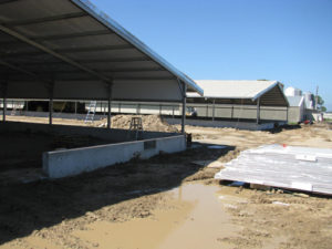 Poultry shed developments